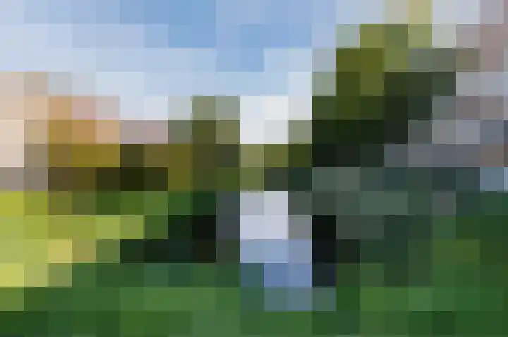 Poseidonsingel 23 Almere thumbnail 28