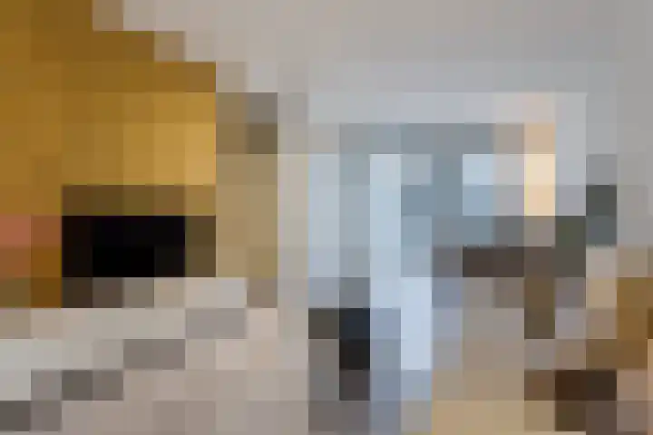 Poseidonsingel 23 Almere thumbnail 7