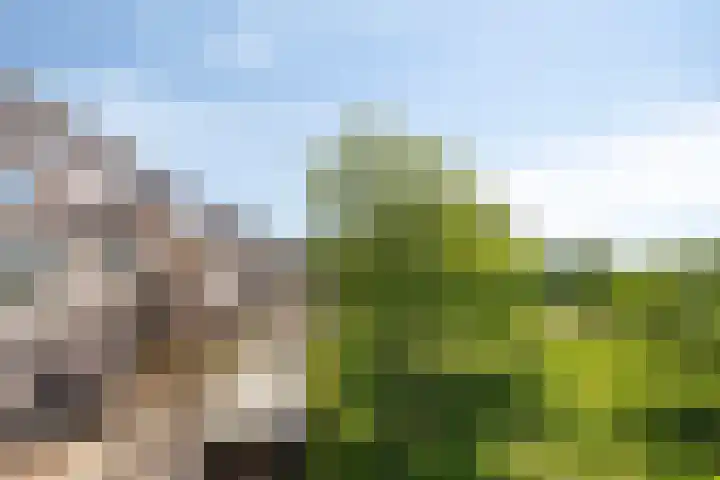 Poseidonsingel 24 Almere thumbnail 10
