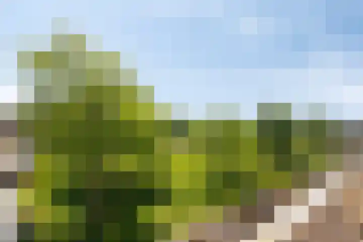 Poseidonsingel 24 Almere thumbnail 11