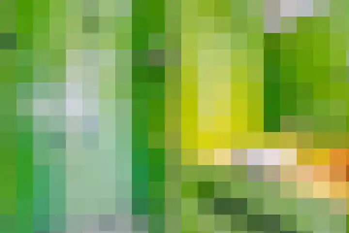 Poseidonsingel 24 Almere thumbnail 20