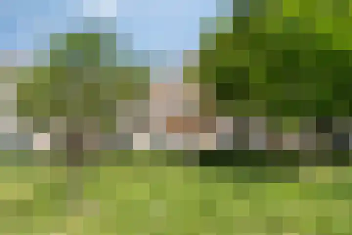 Poseidonsingel 24 Almere thumbnail 24