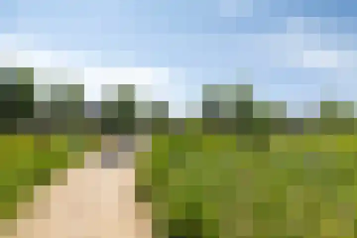 Poseidonsingel 24 Almere thumbnail 25