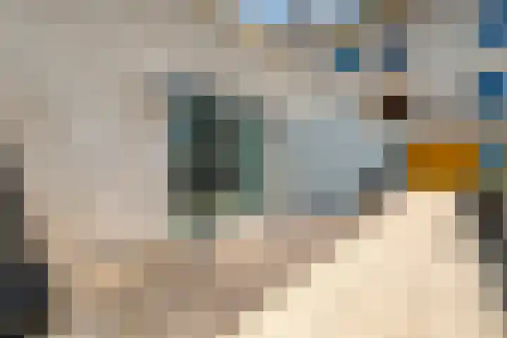 Poseidonsingel 24 Almere thumbnail 8