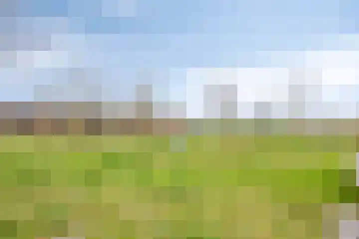 Poseidonsingel 25 Almere thumbnail 24
