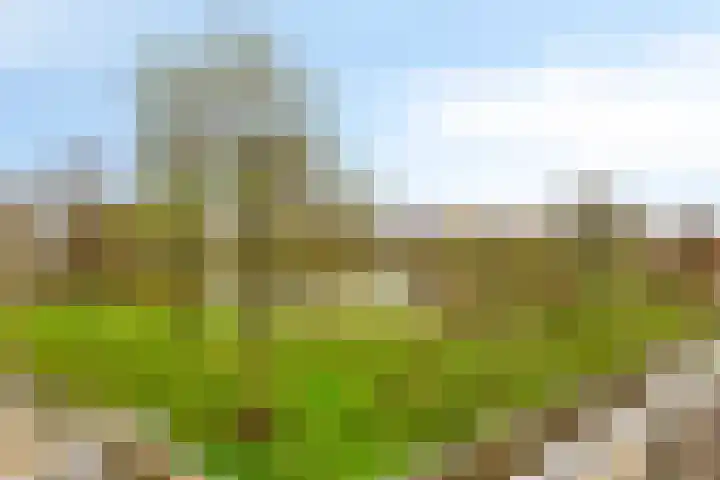 Poseidonsingel 28 Almere thumbnail 20