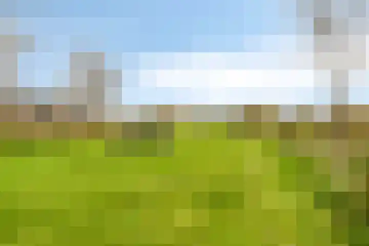 Poseidonsingel 28 Almere thumbnail 26