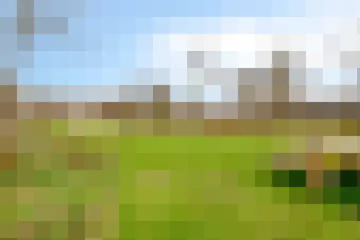 Poseidonsingel 28 Almere thumbnail 27