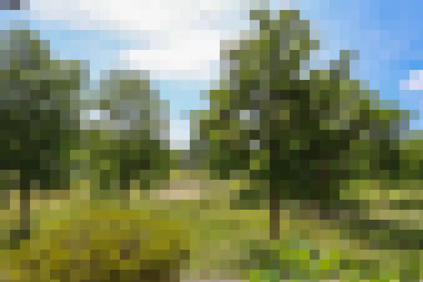 Poseidonsingel 4 Almere thumbnail 40