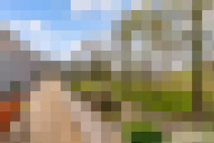 Poseidonsingel 55 b Almere thumbnail 30