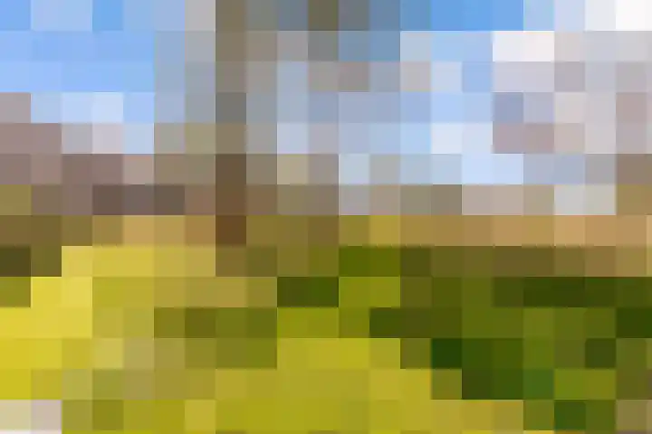 Poseidonsingel 55 b Almere thumbnail 32