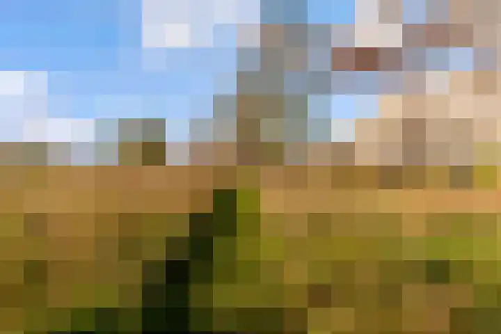 Poseidonsingel 55 b Almere thumbnail 33