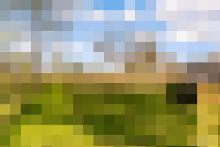 Poseidonsingel 55 b Almere thumbnail 34