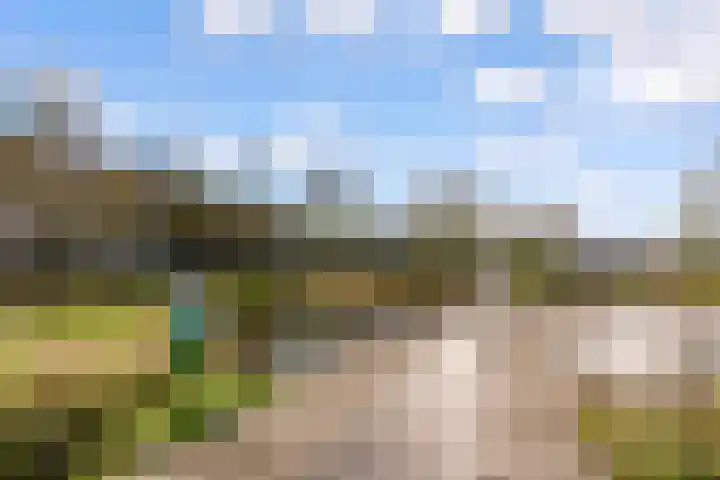 Poseidonsingel 55 b Almere thumbnail 35