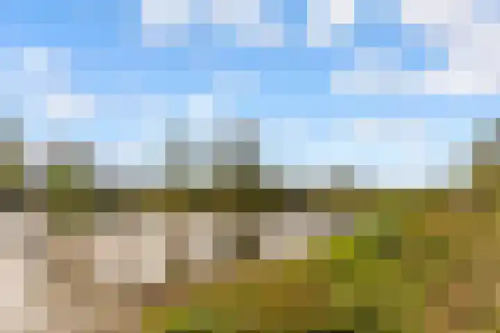 Poseidonsingel 55 b Almere thumbnail 36