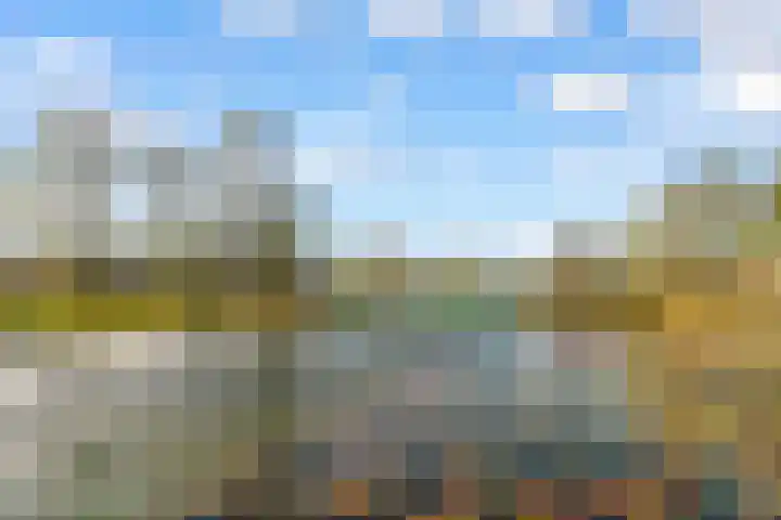 Poseidonsingel 55 b Almere thumbnail 4