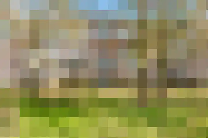 Poseidonsingel 55 b Almere thumbnail 5