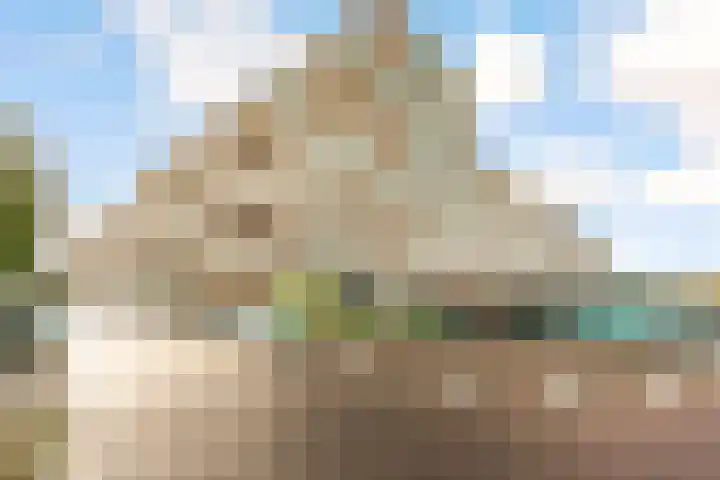 Poseidonsingel 55 b Almere thumbnail 6