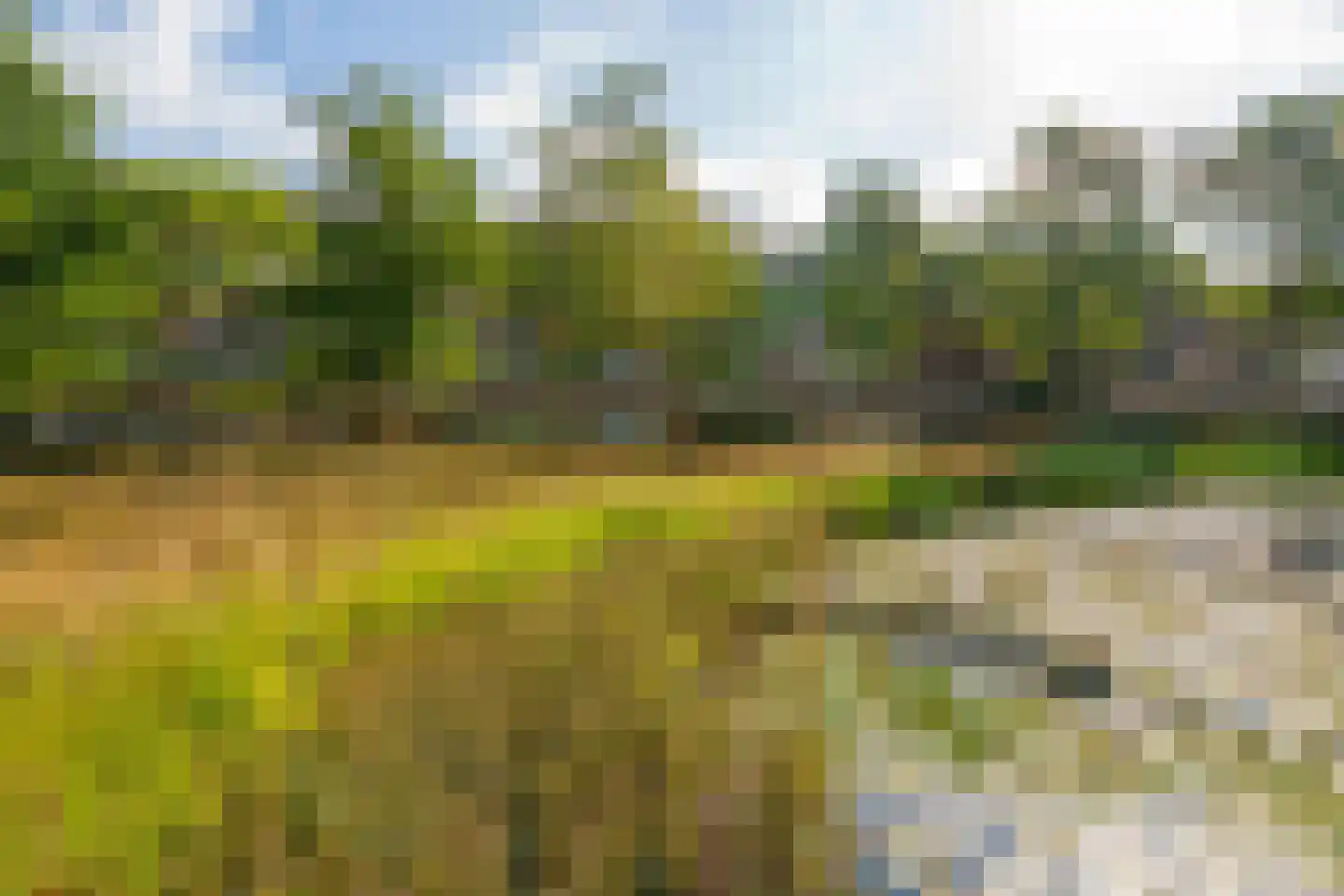 Poseidonsingel 55 h Almere thumbnail 31