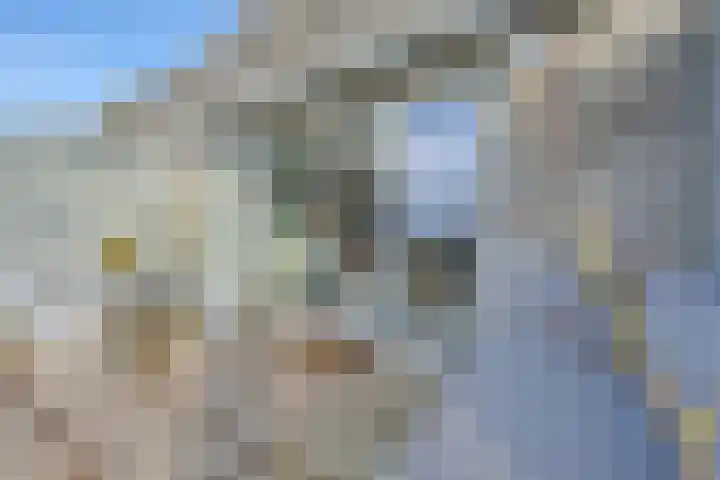 Poseidonsingel 55 j Almere thumbnail 25