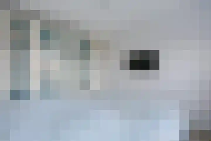 Poseidonsingel 55 j Almere thumbnail 37