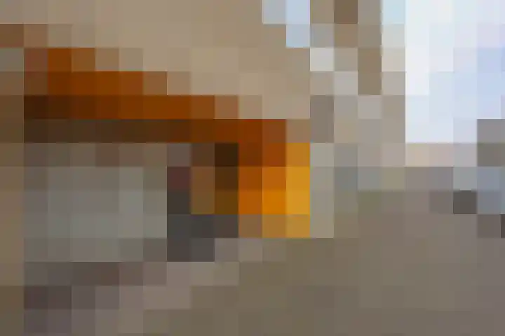 Poseidonsingel 55 j Almere thumbnail 39