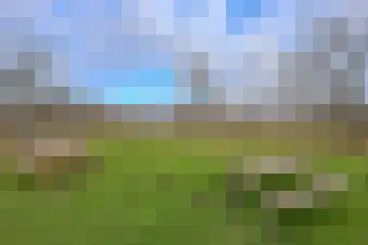 Poseidonsingel 55 j Almere thumbnail 50