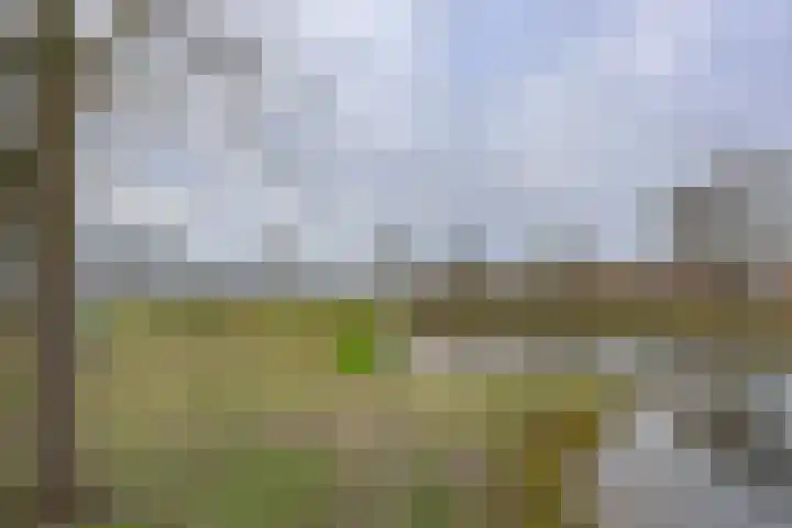 Poseidonsingel 55 j Almere thumbnail 52