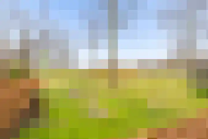 Poseidonsingel 55 r Almere thumbnail 32