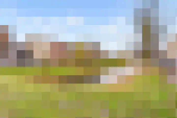 Poseidonsingel 55 r Almere thumbnail 37
