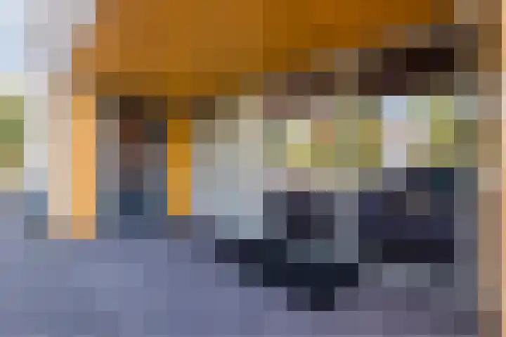 Poseidonsingel 57 e Almere thumbnail 31