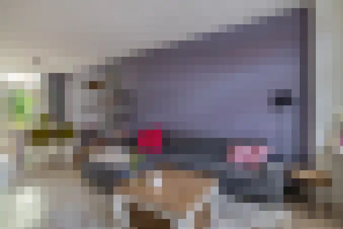 Post van der Burgstraat 17 Delfgauw thumbnail 5