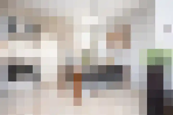 Post van der Burgstraat 7 Delfgauw thumbnail 11