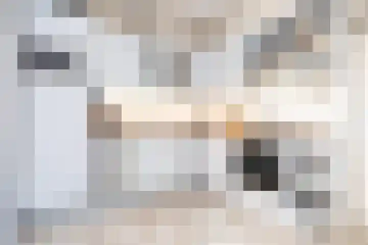 Post van der Burgstraat 7 Delfgauw thumbnail 14