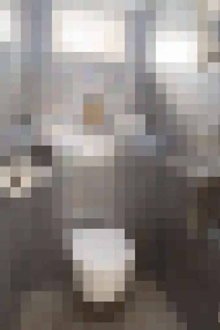 Post van der Burgstraat 7 Delfgauw thumbnail 21