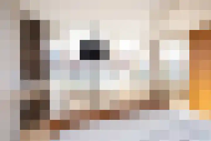 Post van der Burgstraat 7 Delfgauw thumbnail 26