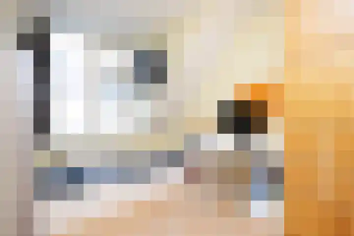 Post van der Burgstraat 7 Delfgauw thumbnail 28