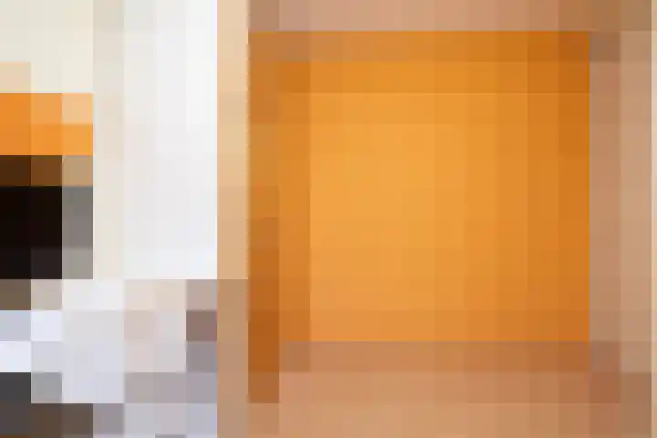 Post van der Burgstraat 7 Delfgauw thumbnail 29