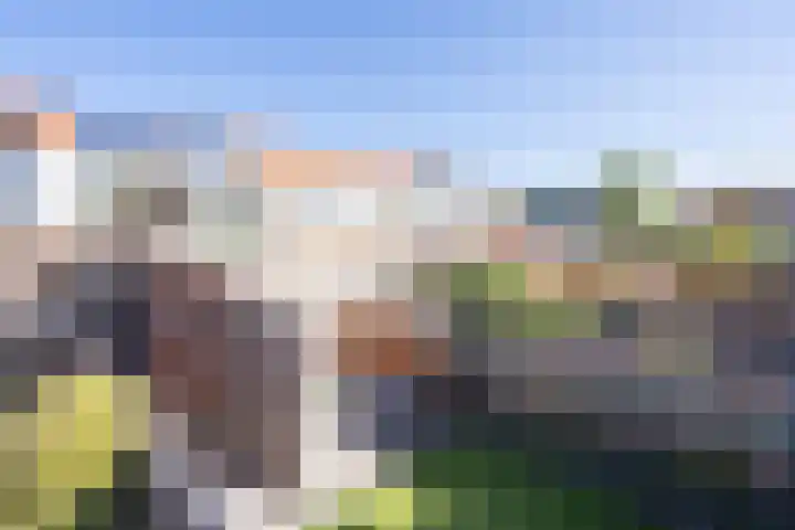 Post van der Burgstraat 7 Delfgauw thumbnail 40