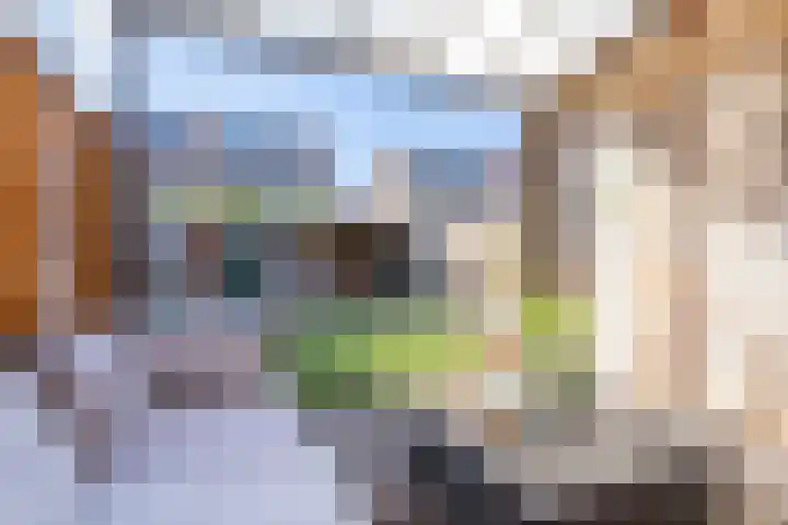 Post van der Burgstraat 7 Delfgauw thumbnail 41