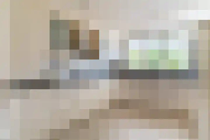 Postakkers 32 Eersel thumbnail 13