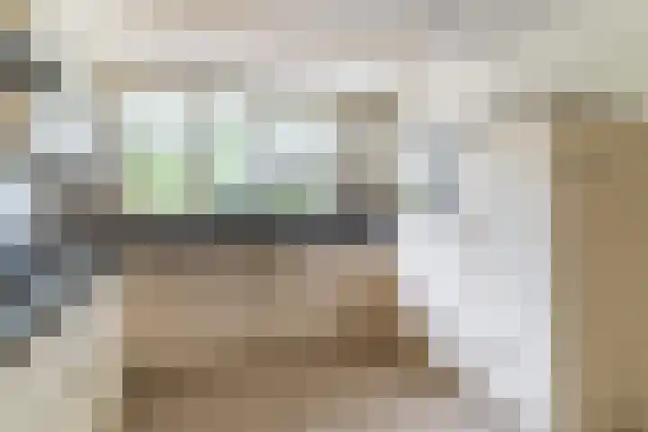 Postakkers 32 Eersel thumbnail 14