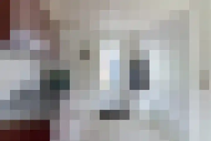 Postakkers 32 Eersel thumbnail 15