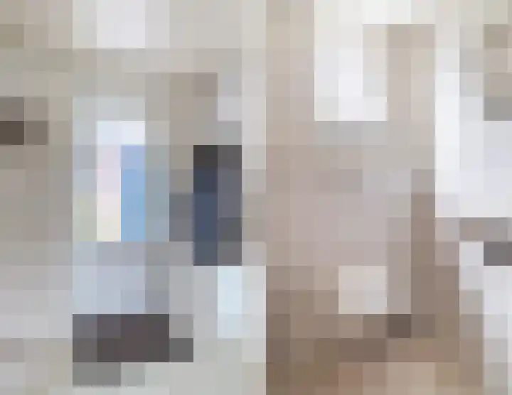 Postakkers 32 Eersel thumbnail 17