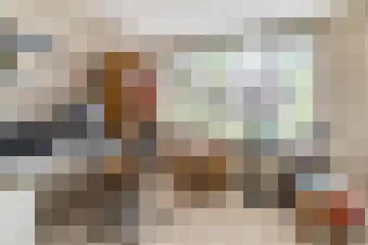 Postakkers 32 Eersel thumbnail 18