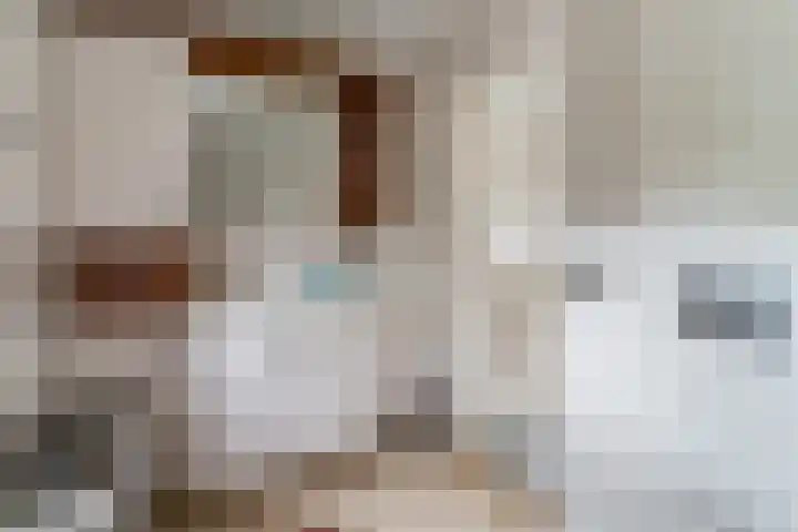 Postakkers 32 Eersel thumbnail 21