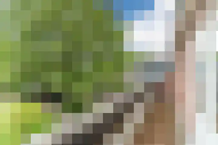 Postakkers 32 Eersel thumbnail 24