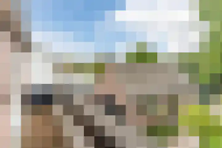 Postakkers 32 Eersel thumbnail 25