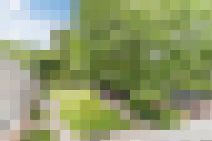 Postakkers 32 Eersel thumbnail 30