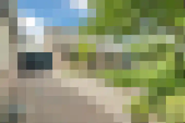Postakkers 32 Eersel thumbnail 32
